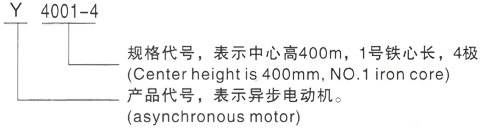 西安泰富西玛Y系列(H355-1000)高压JR137-10三相异步电机型号说明